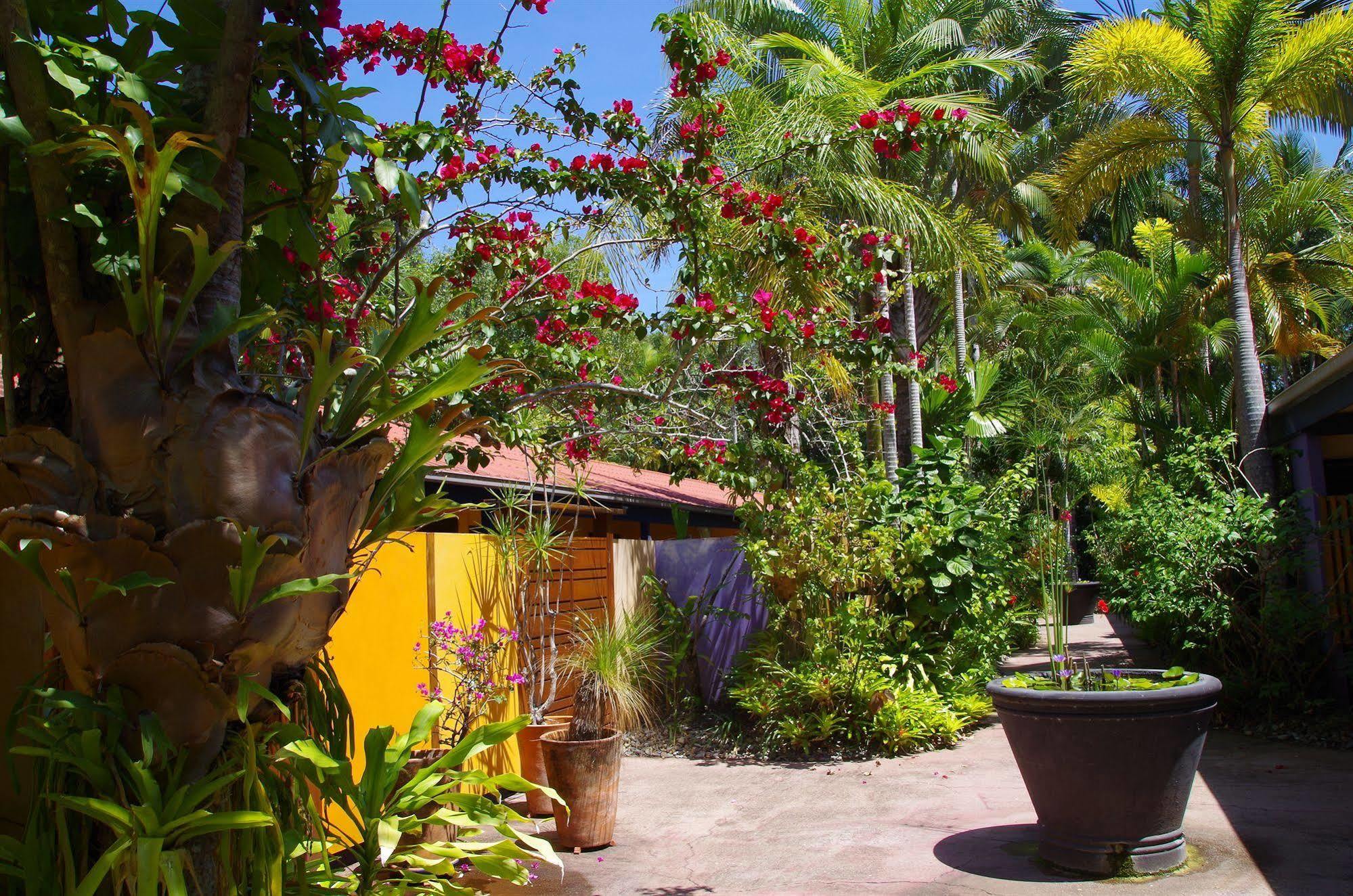 Pink Flamingo Resort Port Douglas Extérieur photo